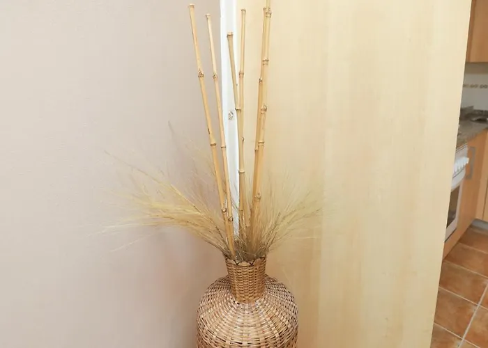 Hospedium Galitrips Airexa Apartment